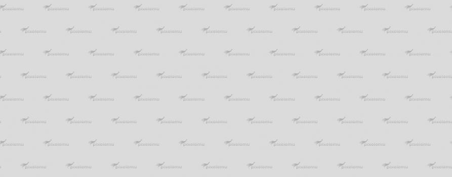 football-field-training-players-with-soccer-ball